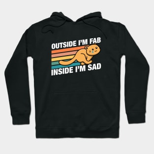 Funny Cat Outside Im Fab Inside Im Sad Hoodie